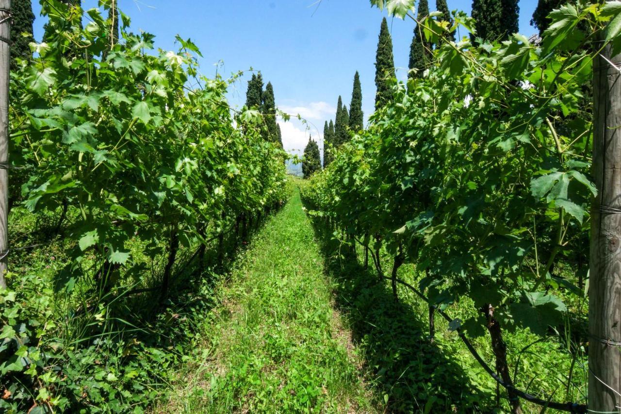 Villa Betteloni Valpolicella Suites San Pietro in Cariano Dış mekan fotoğraf