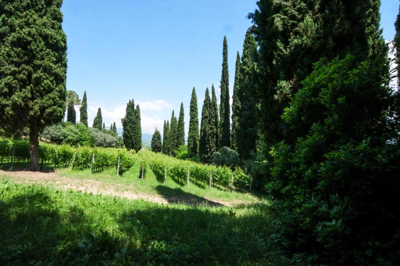 Villa Betteloni Valpolicella Suites San Pietro in Cariano Dış mekan fotoğraf